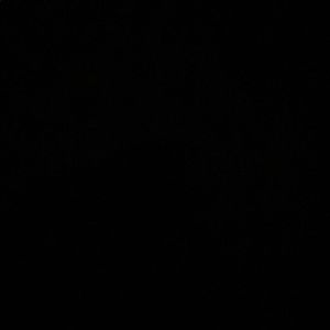 Meet your Posher, Elvia